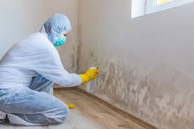 Best Mold Prevention Services  in Rockville, IN